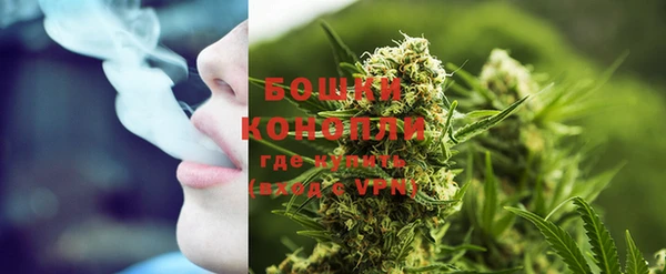 стаф Богородицк