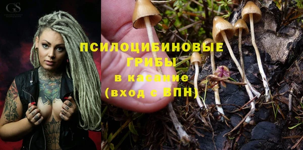 дурь Балахна