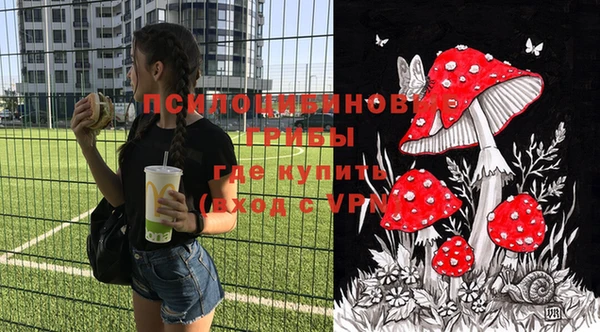 ПСИЛОЦИБИНОВЫЕ ГРИБЫ Балабаново