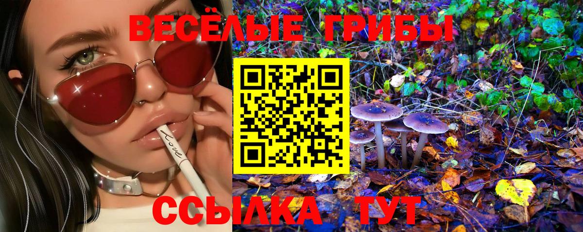 Галлюциногенные грибы GOLDEN TEACHER Дагестанские Огни
